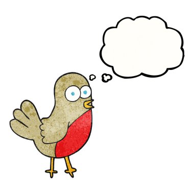 kabarcık dokulu çizgi film robin sanıyordum