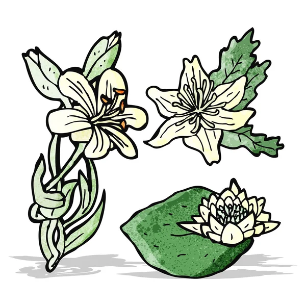 Flores de dibujos animados — Vector de stock