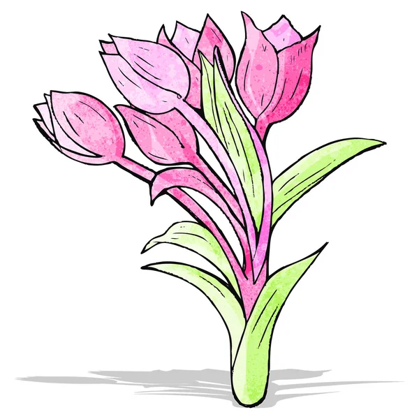 Illustrazione dei fiori — Vettoriale Stock