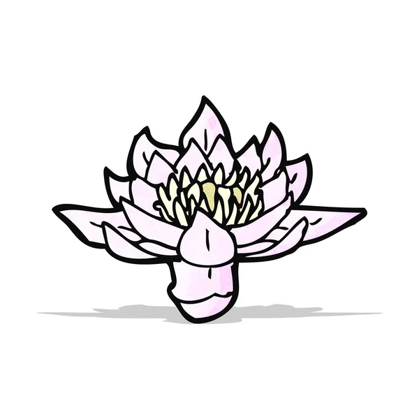 Waterlily cartoon — Stock Vector