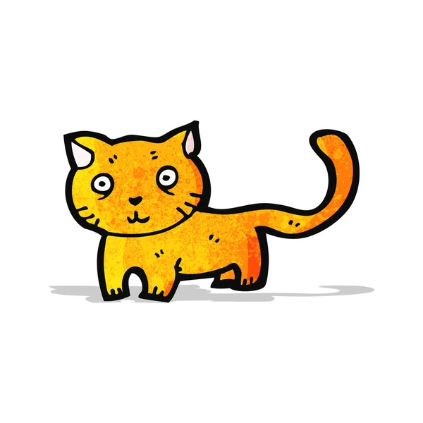 Cartoon kat — Stockvector