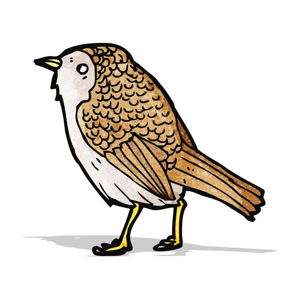 Ilustração pássaro jardim — Vetor de Stock