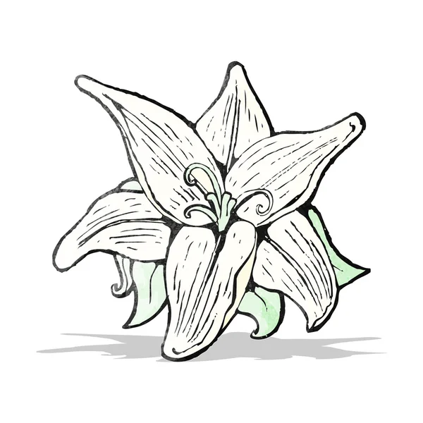 Fleurs dessin — Image vectorielle