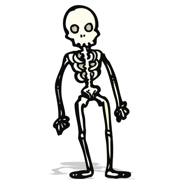 Cartoon skeleton — Stock Vector