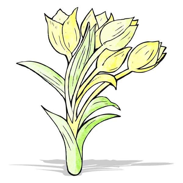 Blommor Illustration — Stock vektor