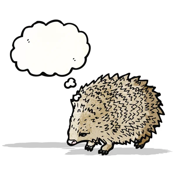 Hedgehog illustration — Stock Vector