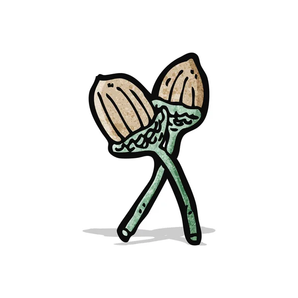 Acorn de dibujos animados — Vector de stock