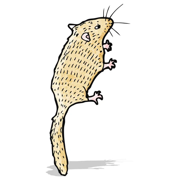 Myš ilustrace — Stockový vektor