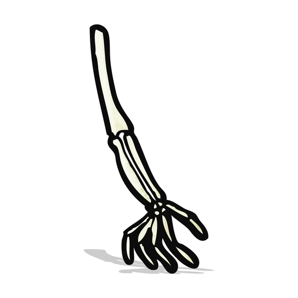 Cartoon squelette bras — Image vectorielle