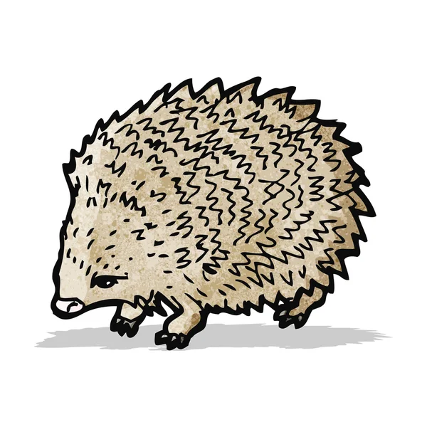 Hedgehog illustration — Stock Vector