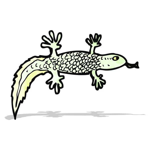 Kreslený newt — Stockový vektor