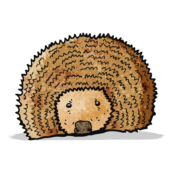 Cartoon hedgehog — Stock Vector