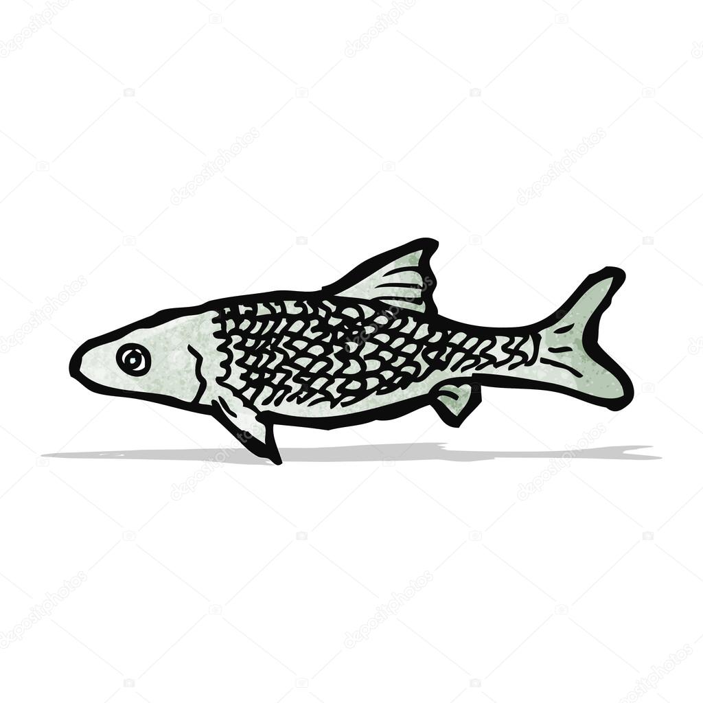 fish illustration