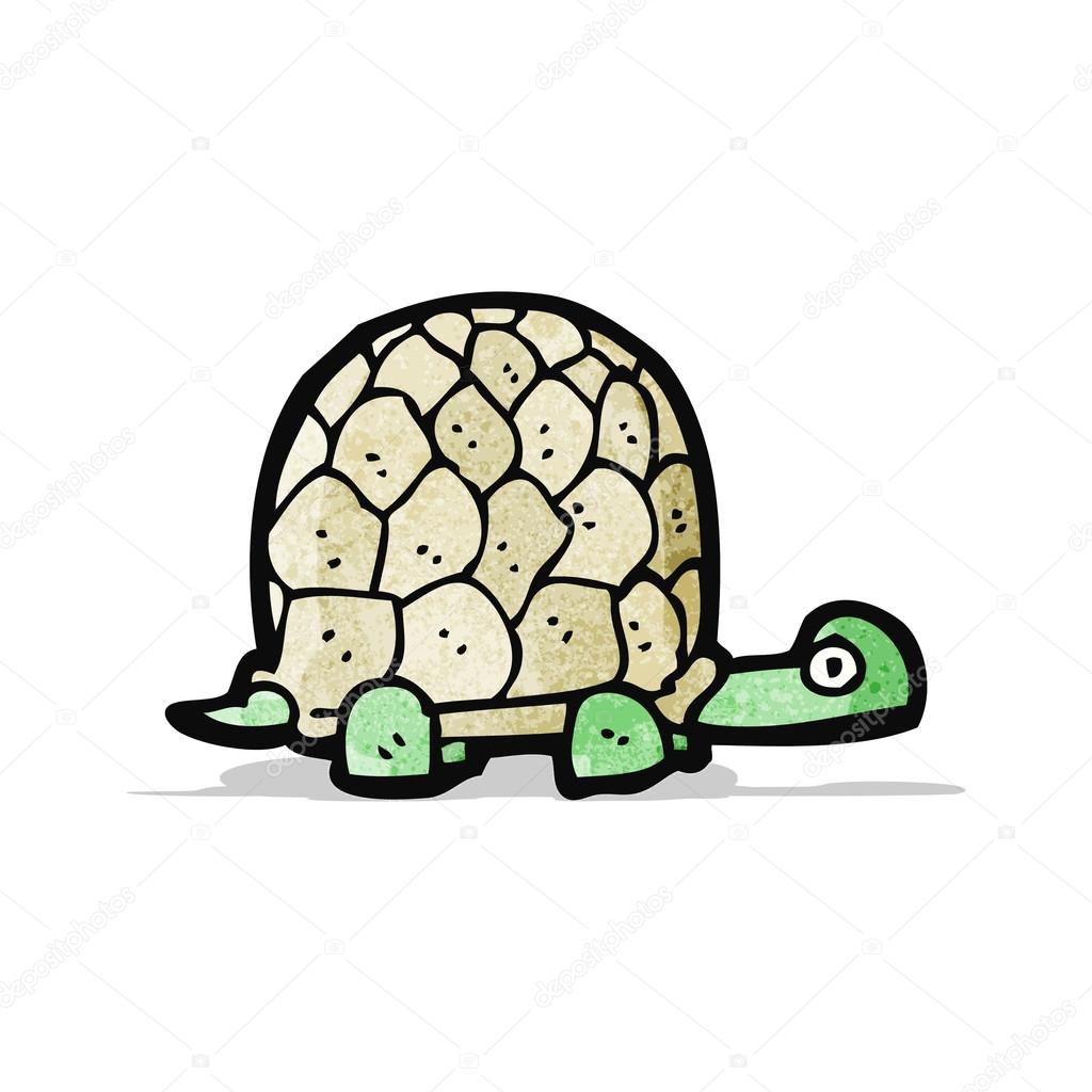 cartoon tortoise