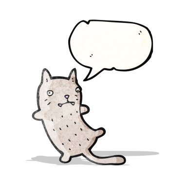 Komik Çizgi Roman Kedisi