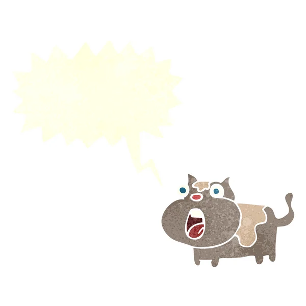 Desenho animado gato chocado com bolha de fala —  Vetores de Stock
