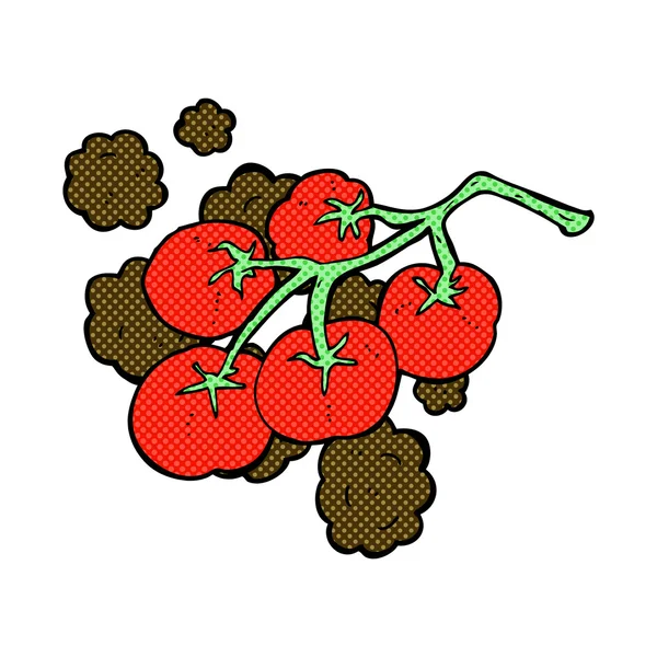 Grüne Tomaten auf Reben Illustration — Stockvektor