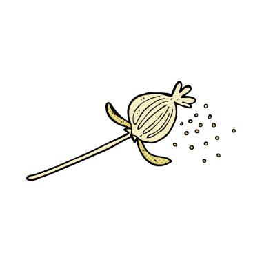 komik karikatür haşhaş çiçek kurutulmuş