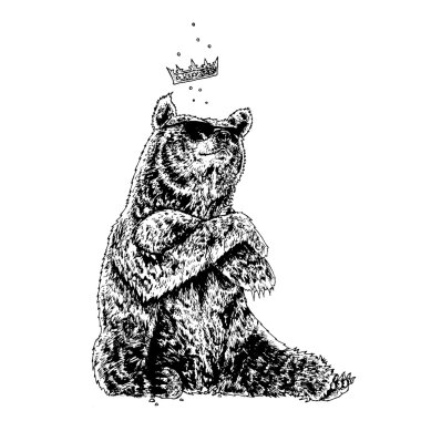 güneş gözlüğü takıyor ayı