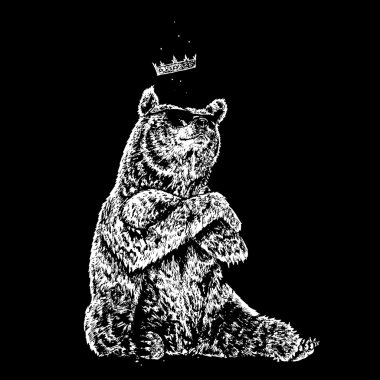 güneş gözlüğü takıyor ayı