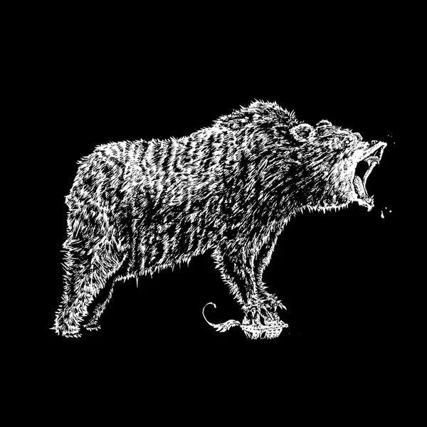 Rytande björnen — Stock vektor