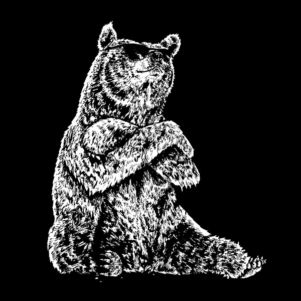 Medvěd, sluneční brýle — Stockový vektor