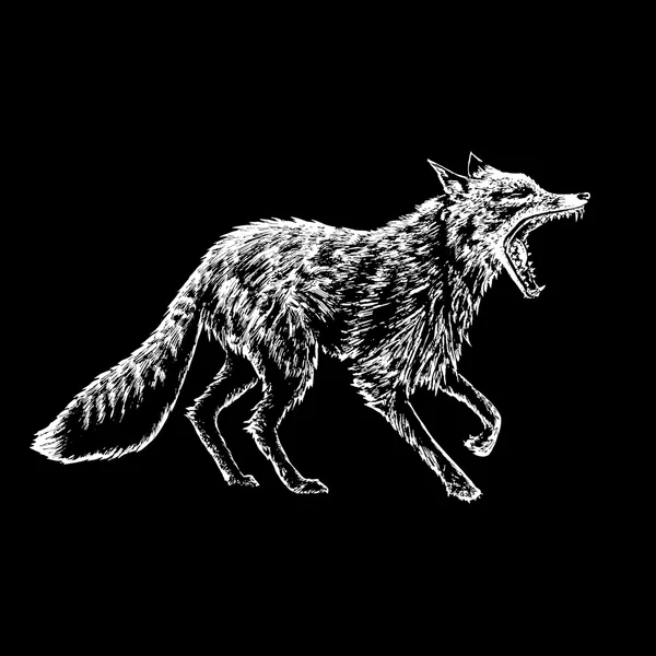 Fox blanco y negro — Archivo Imágenes Vectoriales