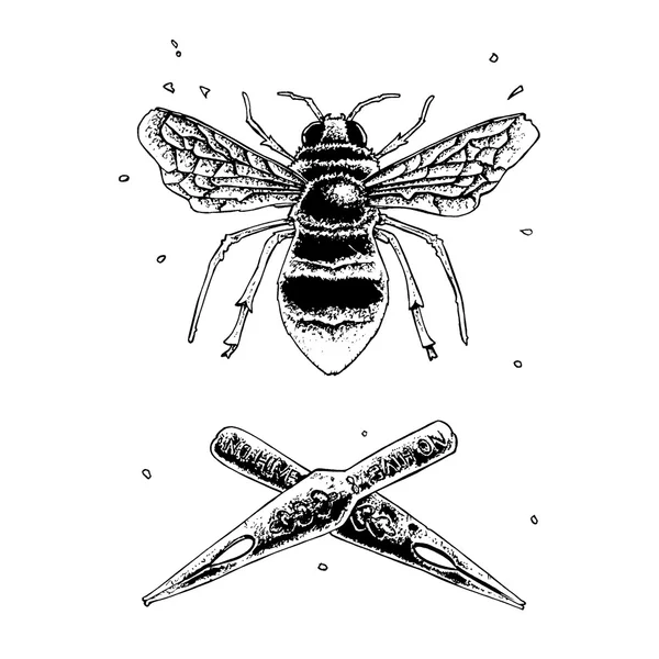 Plumas de abeja y tinta — Vector de stock