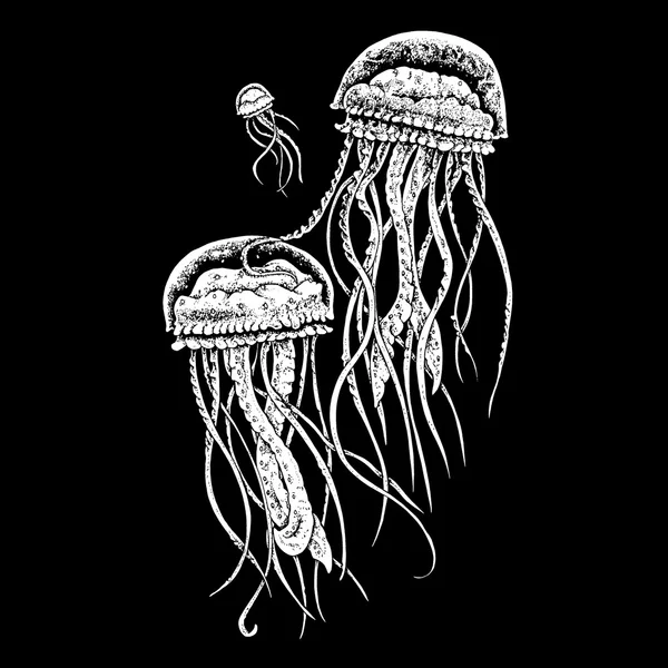 Deep sea jellyfish — Stock Vector