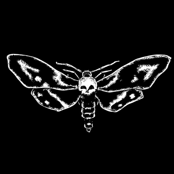 Моль черепа
