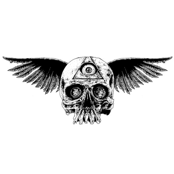 winged skull illustration