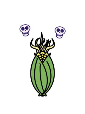 Koçanda kabuksuz Brezilya mısırı animasyonu