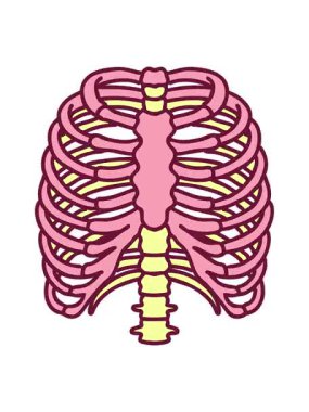 Parlak renkli göğüs kafesinin ikonik dövme görüntüsünün hareketli animasyonu