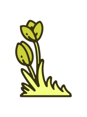 Lale çiçek tasarımının renk animasyonu değişiyor