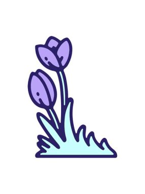 Lale çiçeği tasarımının basınçlı animasyonu