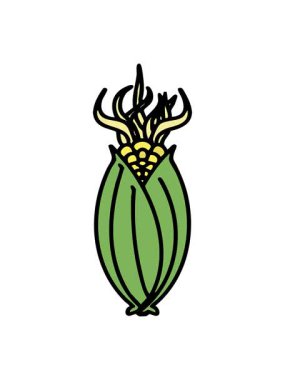 Koçandaki kabuksuz Brezilya mısırının hareketli animasyonu.