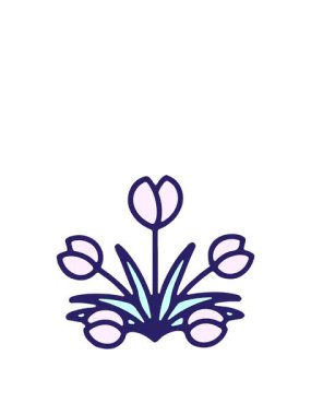 Yüksel ve süzül lale çiçeğinin canlandırması