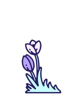 Lale çiçeğinin çiziminin hareketli animasyonu