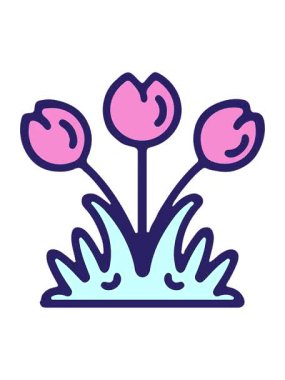 Basit lale çiçeğinin hareketli animasyonu