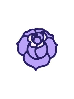 Dekoratif çiçeğin yıldız patlaması etkisi canlandırması