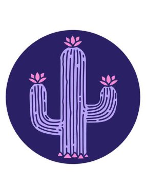 Bir kaktüsün pixelize etkisi animasyonu