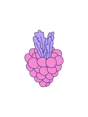 Yıldız patlaması efekti çizilmiş bir avuç üzümün el yapımı animasyonu