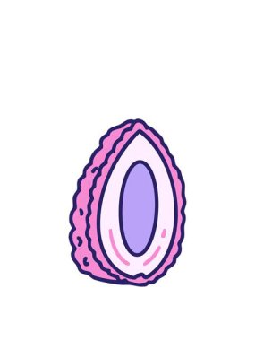 Yarı yarıya kesilmiş geleneksel Brezilya coxinha hareketli animasyonu