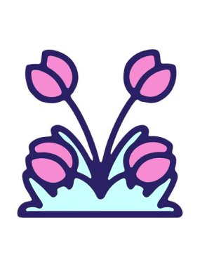 pressure popping animation of hand drawn  tulip