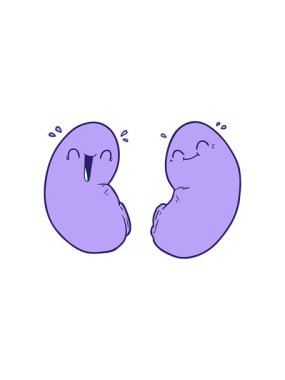 Mutlu böbreklerin karikatür animasyonunun bölünme etkisi