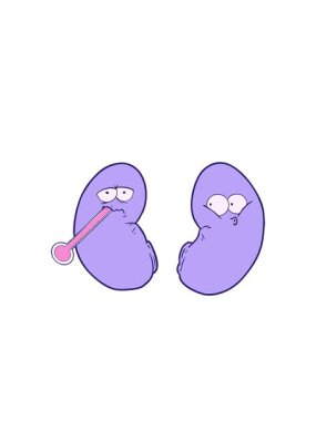 Sağlıksız böbrek çizgi filminin yanıp sönen radyal çizgileri.