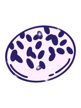 Geleneksel Brezilya çikolatalı Brigadeiro çiziminin parıltı etkisi