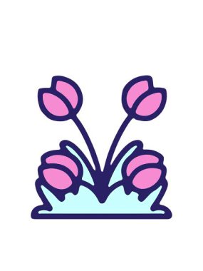 El çizilmiş lalenin yanıp sönen radyal çizgileri