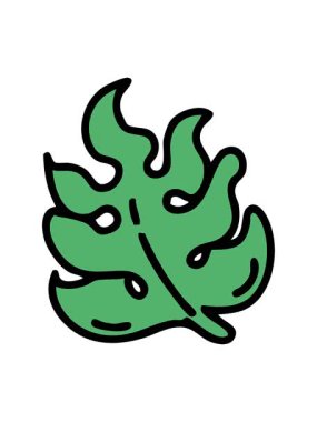 Brezilya bölgesi tropikal canavar bitki yaprağının hareketli animasyonu