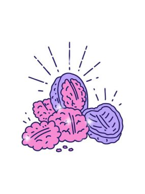 Radyasyon dövmeli ceviz kabuğunun parıltı etkisi.